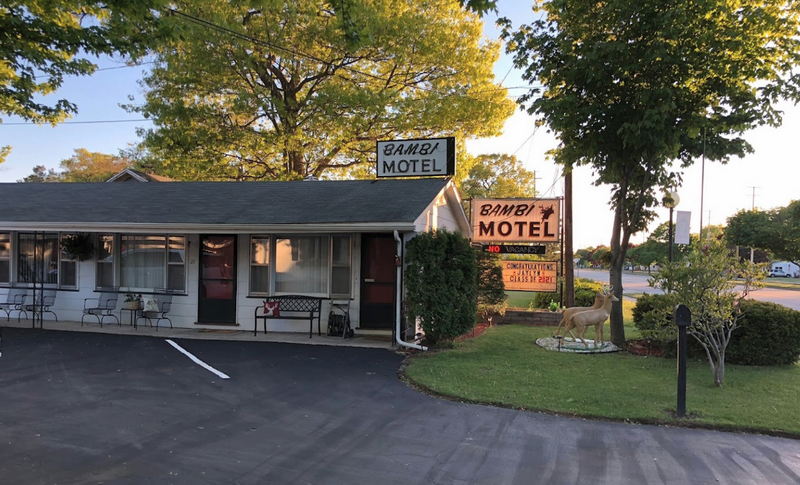 Bambi Motel - Web Site Photo (newer photo)